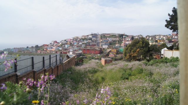 TERRENO PORVENIR PLAYA ANCHA