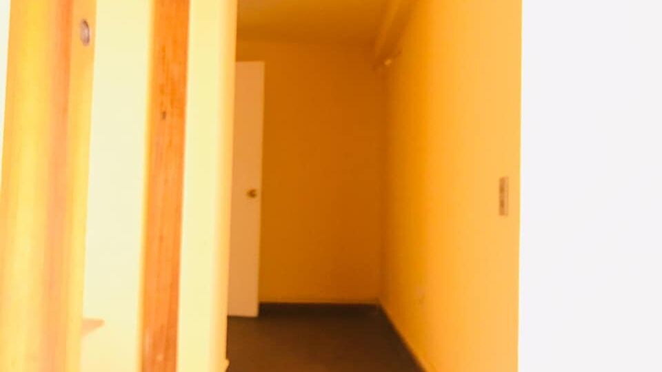 89557567_2725708020859371_7189801246646075392_n